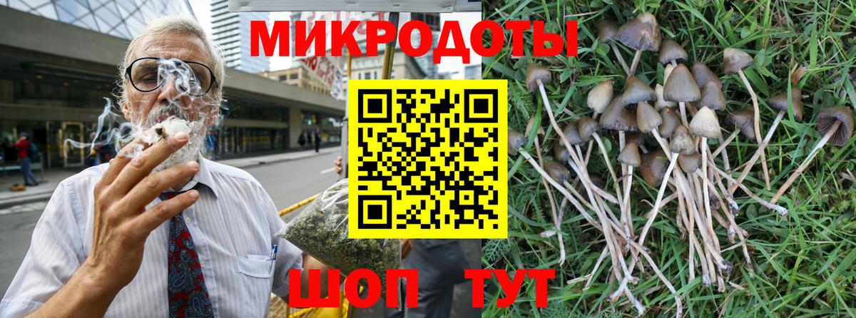 Псилоцибиновые грибы MAGIC MUSHROOMS  Вход с VPN  Сосновоборск 